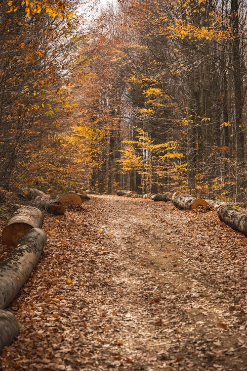 Four-season collage of outdoor activities in North Tyneside