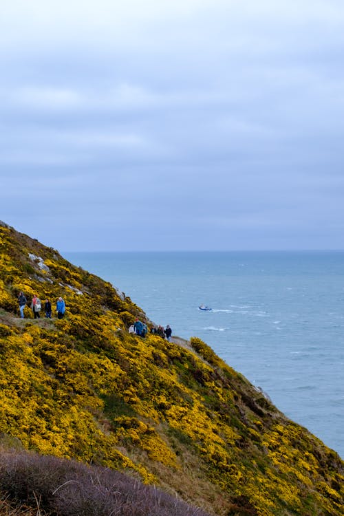 Clifftop coastal path between Tynemouth and Cullercoats with sea views